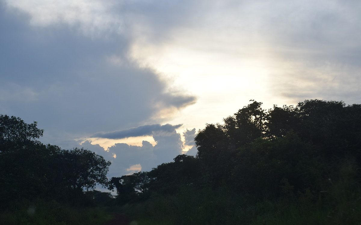Sunset glowing through silhouetted trees at a safari lodge in Uganda